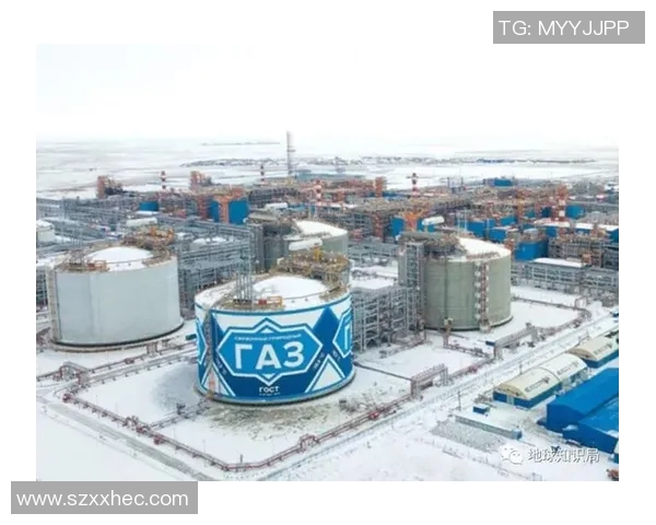 亚马尔地区资源开发与国际合作新机遇探讨